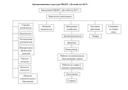 Организационная структура МБДОУ "Детский сад №17"